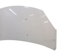 CAPÔ DIANTEIRO C3 2013 A 2020 DS3 2012 A 2017 (DETALHE)