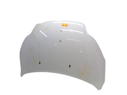 CAPÔ DIANTEIRO FOCUS 2014 A 2015 C/DETALHE