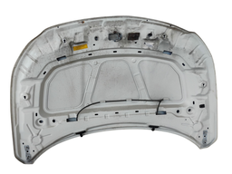 CAPÔ DIANTEIRO ARGO 2018 2019 2020/.. COM DETALHES 