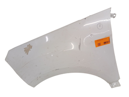 Paralama Esquerdo Ecosport 2013 2014 a 2021