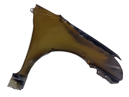 PARALAMA ESQUERDO SENTRA 2007 A 2013 C/DETALHE