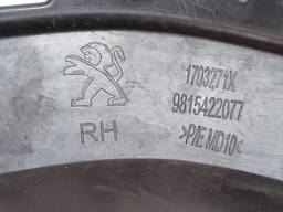 GRADE MOLDURA MILHA DIREITO PEUGEOT 208 2017 A 2020