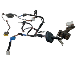 CHICOTE PORTA DIANTEIRA ESQUERDA AZERA 3.3 V6 2007 A 2011