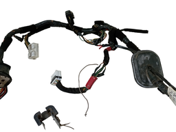 CHICOTE PORTA DIANTEIRA ESQUERDA AZERA 07 A 2011 916003L162