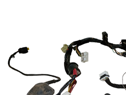 CHICOTE PORTA DIANTEIRA ESQUERDA AZERA 07 A 2011 916003L162