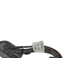 CHICOTE PORTA DIANTEIRA ESQUERDA AZERA 07 A 2011 916003L162