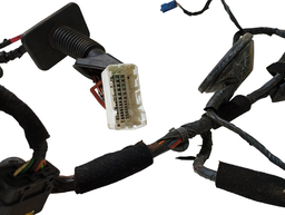 CHICOTE PORTA DIANTEIRA DIREITA AZERA 2007 A 2011 916103L272