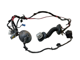 CHICOTE PORTA TRASEIRA ESQUERDA AZERA 2007 A 2011 916503L021