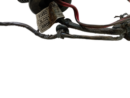 CHICOTE PORTA TRASEIRA ESQUERDA AZERA 2007 A 2011 916503L021