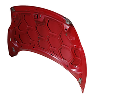 CAPÔ DIANTEIRO NEW FIESTA MEXICANO 2011 2012 A 2013