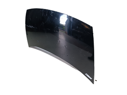 CAPÔ DIANTEIRO C3 2003 2004... A 2012