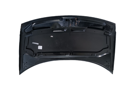 CAPÔ DIANTEIRO C3 2003 2004... A 2012