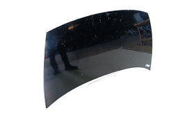 CAPÔ DIANTEIRO C3 2003 2004... A 2012