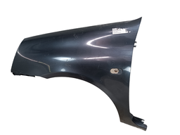 Paralama Esquerdo Clio 2004  2005 a 2012