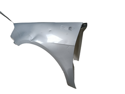 PARALAMA ESQUERDO GOL VOYAGE G6 G7 C/DETALHES