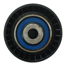 POLIA AUXÍLIAR DA CORREIA CITROEN C4 2.0