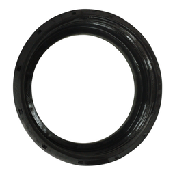 ROSCA FIXAÇÃO BOMBA COMBUSTÍVEL SENTRA TIIDA LIVINA 