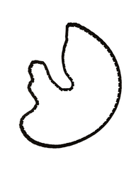 CORRENTE DE COMANDO SENTRA LIVINA TIIDA 1.8/2.0