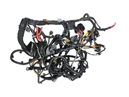 CHICOTE INJEÇÃO CAPTUR 1.3 2023