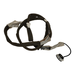 Chicote Teto Renault Sandero 2020/