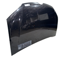 CAPÔ DIANTEIRO SANDERO 2015/ LOGAN 2014/ C/DETALHES