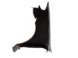 PARALAMA DIREITO PALIO 04/17 SIENA 05/12