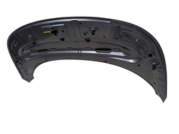 CAPO DIANTEIRO BYD DOLPHIN 2024 2025 2026/..C/DETALHES