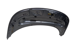 CAPO DIANTEIRO BYD DOLPHIN 2024 2025 2026/..C/DETALHES