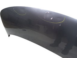 CAPO DIANTEIRO BYD DOLPHIN 2024 2025 2026/..C/DETALHES