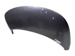 CAPO DIANTEIRO BYD DOLPHIN 2024 2025 2026/..C/DETALHES