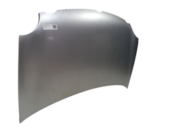 CAPÔ DIANTEIRO POLO 2003 2004 A 2006