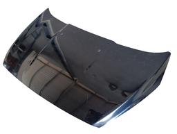 CAPÔ DIANTEIRO KA 2015 A 2021 C/DETALHE 