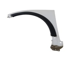 PARALAMA ESQUERDO HB20X 2013 A 2019 C/APLIQUE