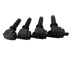 BOBINA FUSION FOCUS ECOSPORT EVOQUE XC60 DISC. SPORT 2.0