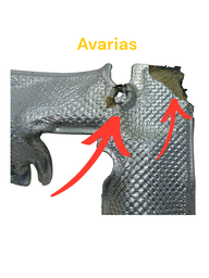 PROTETOR CALOR COLETOR ECOSPORT KA 1.5 3CC 2017 A 2021