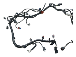 CHICOTE INJEÇAO MOTOR ECOSPORT 1.5 3CC DRAGON 2017 A 2021