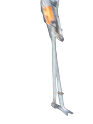 GALHADA LIMPADOR PARABRISA CRUZE 2017 2018 A 2023 C/ MOTOR