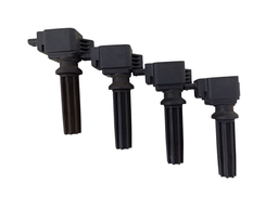 Bobina Fusion Focus Ecosport Evoque Xc60 Disc Sport 2.0 12/