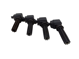 BOBINA FUSION FOCUS ECOSPORT EVOQUE XC60 DISC SPORT 2.0 12/