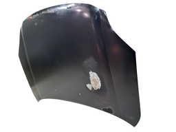 CAPÔ DIANTEIRO FUSION 2006 2007 A 2009 C/MASSA PLÁSTICA