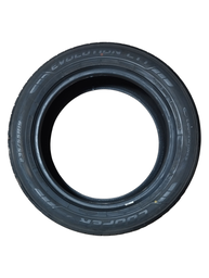 PNEU EVOLUTION CTT 235/55 R19