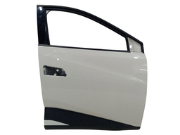 Porta Dianteira Direita Byd Dolphin Mini 2024 2025 2026/..