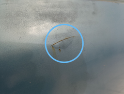 PORTA TRASEIRA DIREITA PASSAT 1998 1999 A 2005 C/DETALHE