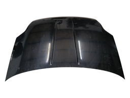 Capô Dianteiro Sentra 2007 a 2013