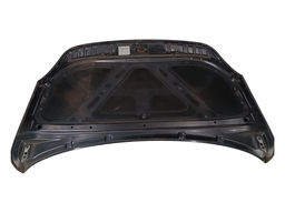 CAPÔ DIANTEIRO VERACRUZ 2007 A 2012