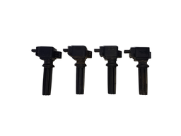 Bobina Fusion Focus Ecosport Evoque Xc60 Disc Sport 2.0 12/