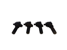 BOBINA FUSION FOCUS ECOSPORT EVOQUE XC60 DISC SPORT 2.0 12/