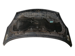 CAPÔ DIANTEIRO LIVINA 2010 A 2014