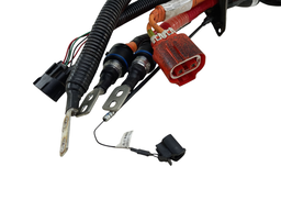 CABO CHICOT ALIMENTAÇÃO BATERIA BYD DOLPHIN MINI EQEC2106400