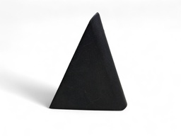 ACABAMENTO INTERNO TRASEIRO ESQUERDO HB20 2020 2021/